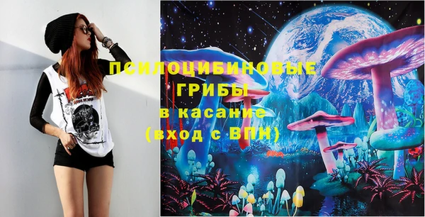 МДПВ Алексин