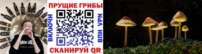 Галлюциногенные грибы ЛСД  Липки 